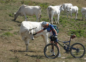 Escursioni in Mountain-Bike nella riserva naturale Alpe della Luna in Valtiberina Toscana