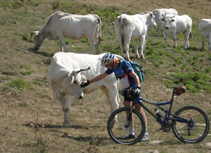 The natural enviranment in Alpe della Luna in Tiber Valley