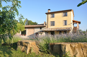 Scorcio dell'agriturismo