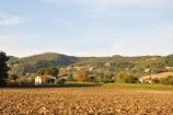 foto 012.jpg