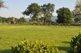 Il giardino