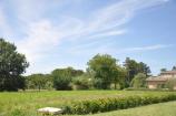 Il giardino